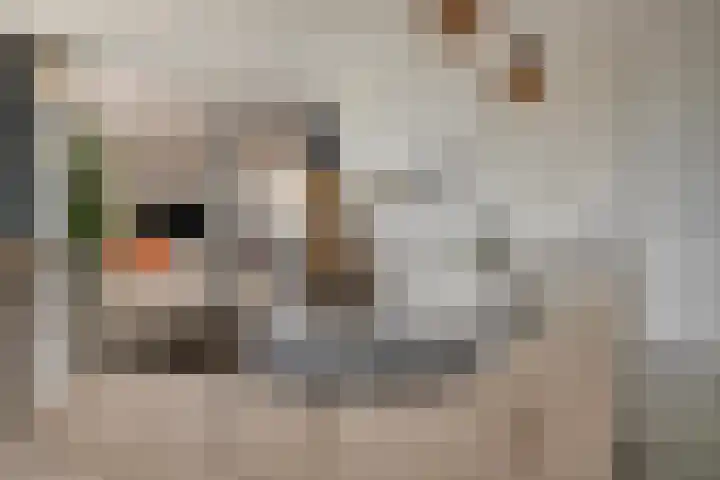 Het Tolhuys 22 Veldhoven thumbnail 11