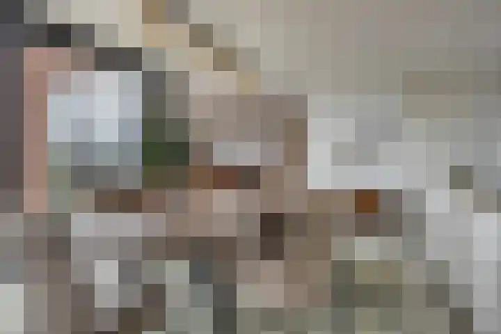 Het Tolhuys 22 Veldhoven thumbnail 14