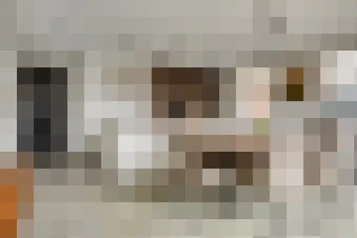 Het Tolhuys 22 Veldhoven thumbnail 15