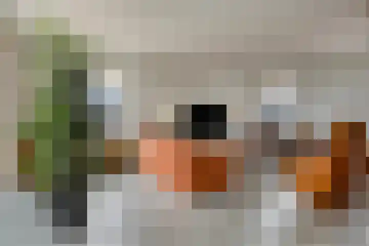 Het Tolhuys 22 Veldhoven thumbnail 16