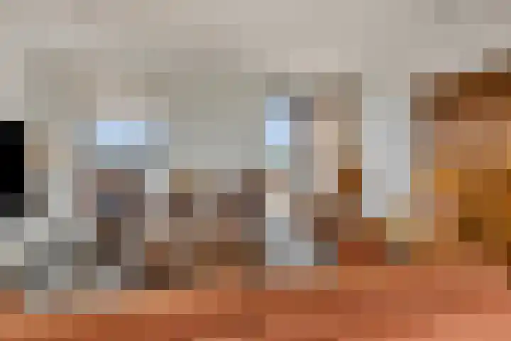 Het Tolhuys 22 Veldhoven thumbnail 18