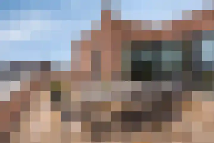 Het Tolhuys 22 Veldhoven thumbnail 22