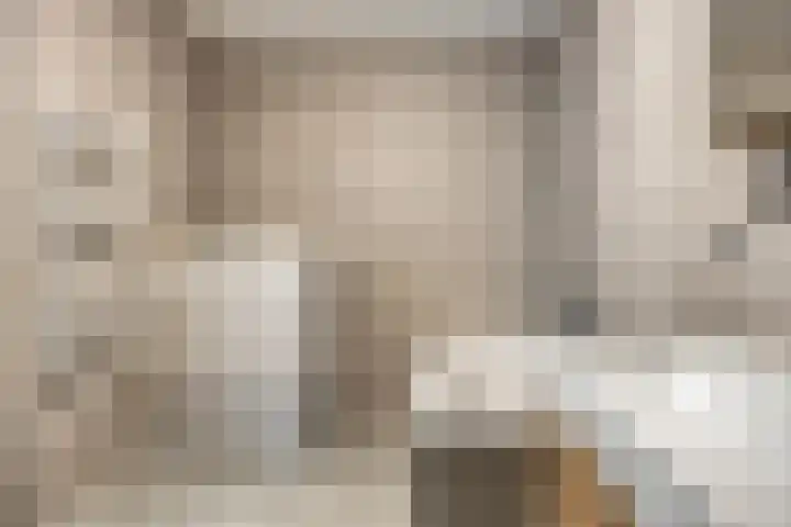 Het Tolhuys 22 Veldhoven thumbnail 28