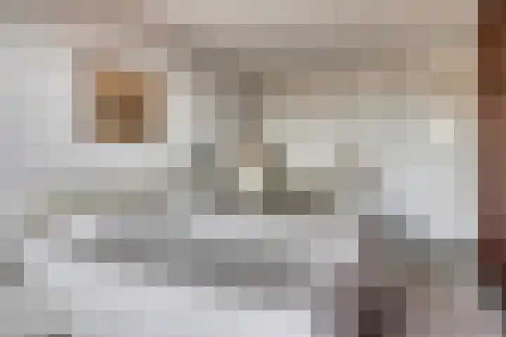 Het Tolhuys 22 Veldhoven thumbnail 31