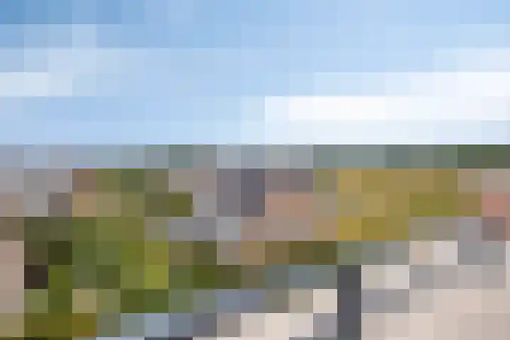 Het Tolhuys 22 Veldhoven thumbnail 36