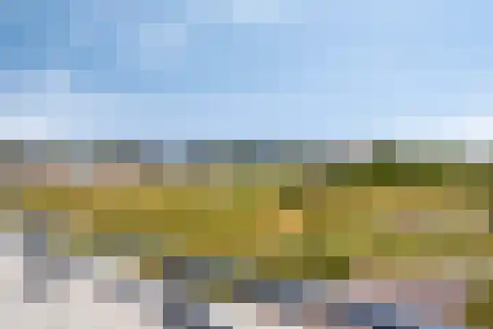 Het Tolhuys 22 Veldhoven thumbnail 37