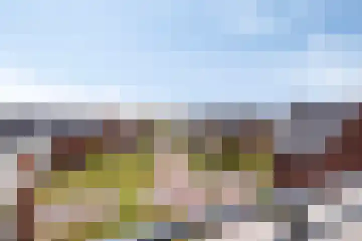 Het Tolhuys 22 Veldhoven thumbnail 38