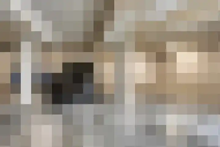 Het Tolhuys 22 Veldhoven thumbnail 39