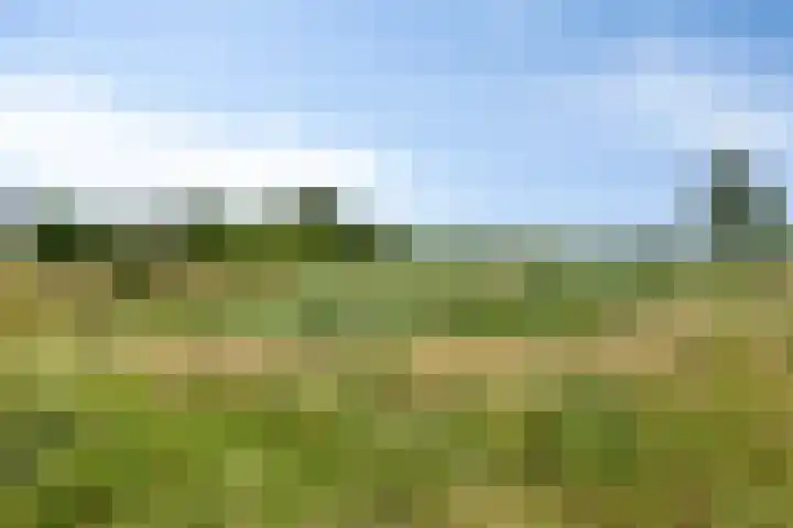 Het Tolhuys 22 Veldhoven thumbnail 42