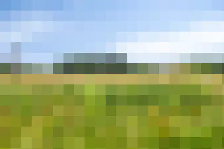 Het Tolhuys 22 Veldhoven thumbnail 43