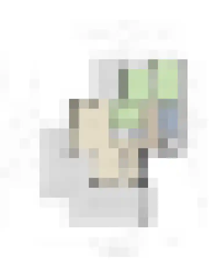 Het Tolhuys 22 Veldhoven thumbnail 44