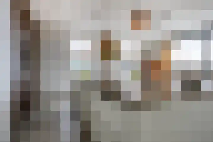 Het Tolhuys 22 Veldhoven thumbnail 8