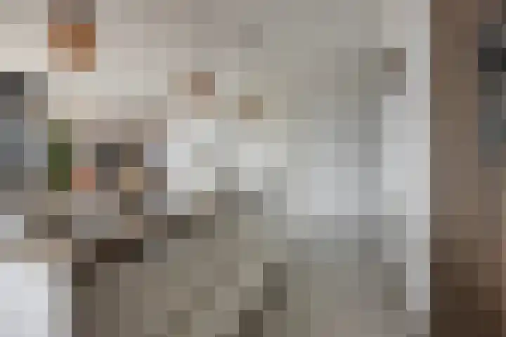 Het Tolhuys 22 Veldhoven thumbnail 9