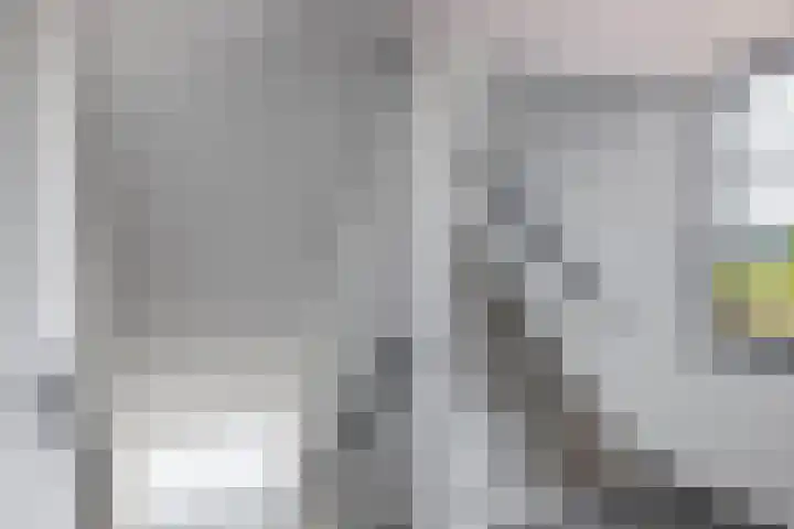 Het Tolhuys 6 Veldhoven thumbnail 10