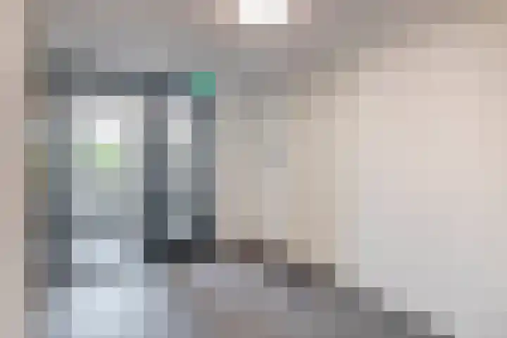 Het Tolhuys 6 Veldhoven thumbnail 11