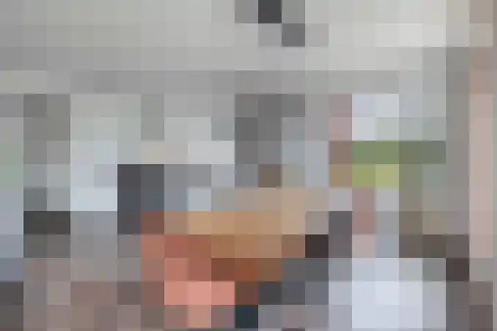 Het Tolhuys 6 Veldhoven thumbnail 18
