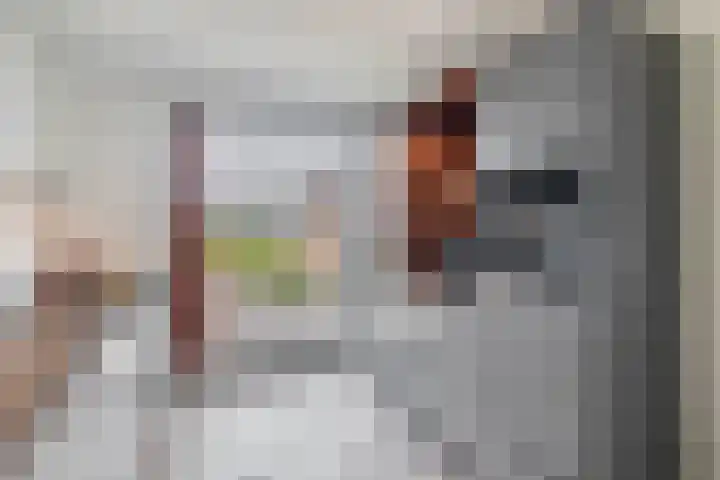 Het Tolhuys 6 Veldhoven thumbnail 24