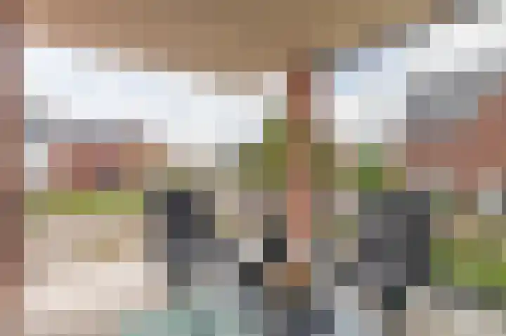 Het Tolhuys 6 Veldhoven thumbnail 27