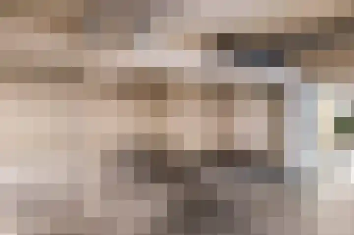 Het Tolhuys 6 Veldhoven thumbnail 47