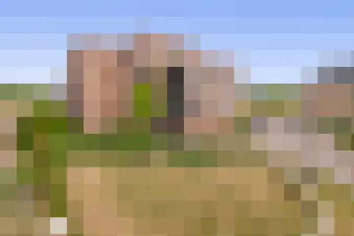 Het Tolhuys 6 Veldhoven thumbnail 5