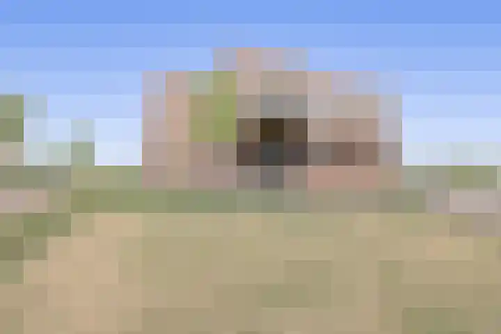 Het Tolhuys 6 Veldhoven thumbnail 8