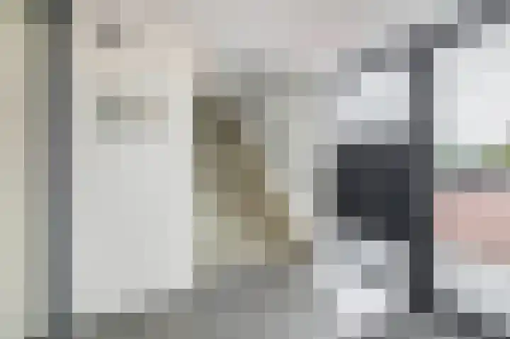 Het Tolhuys 6 Veldhoven thumbnail 9