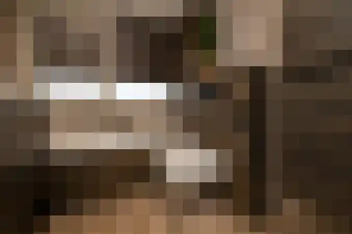 Het Tolland 108 Wateringen thumbnail 19
