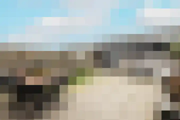 Het Tolland 108 Wateringen thumbnail 31