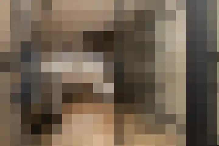 Het Tolland 108 Wateringen thumbnail 4