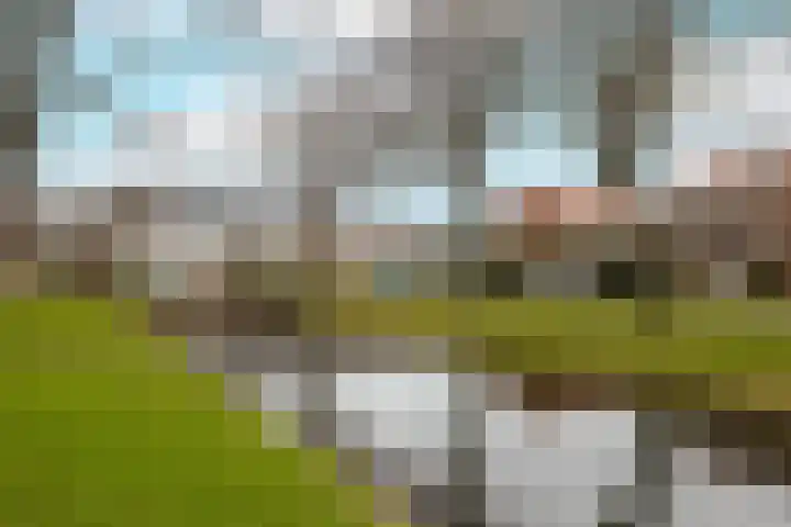 Het Tolland 108 Wateringen thumbnail 40