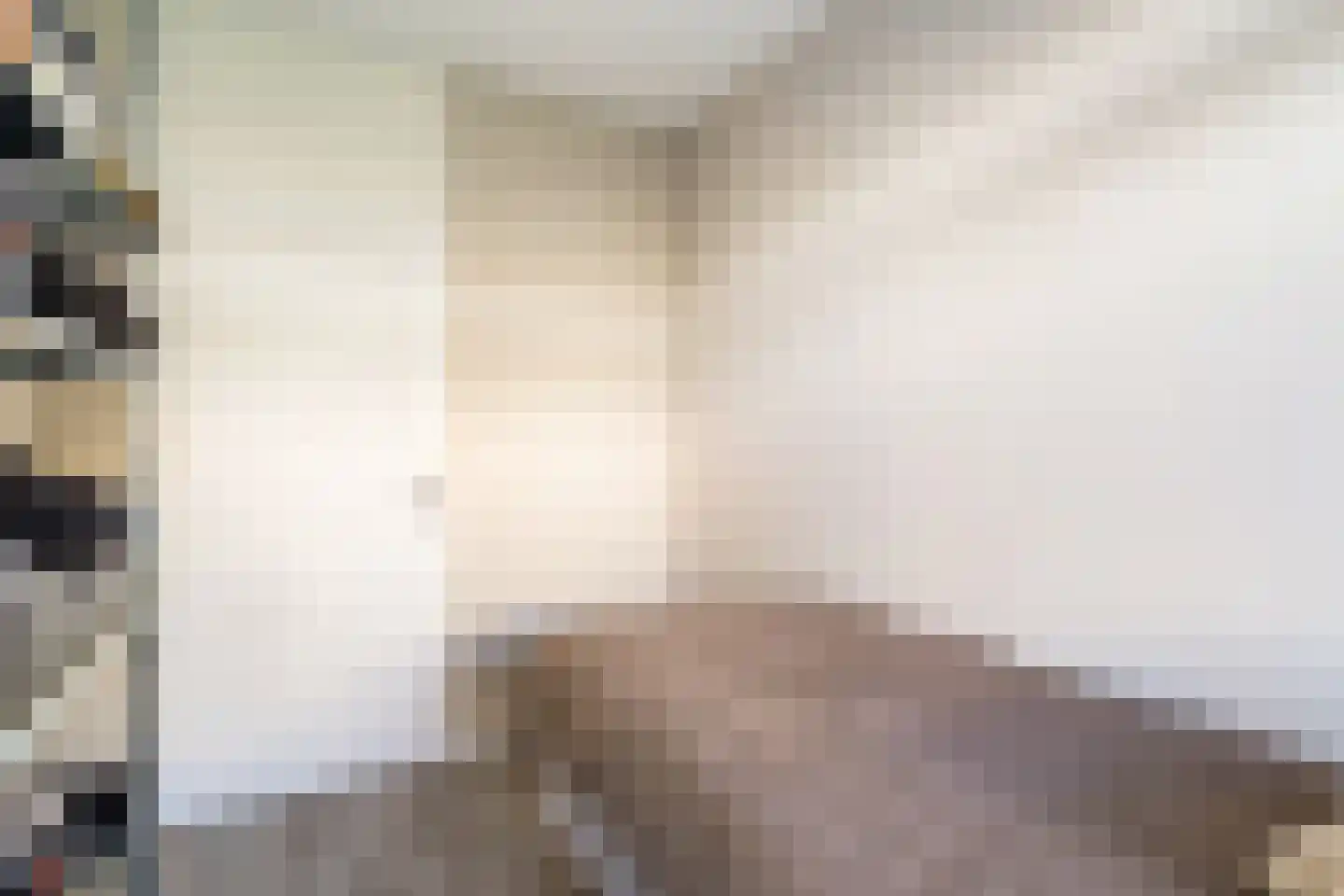 Het Tolland 120 Wateringen thumbnail 30
