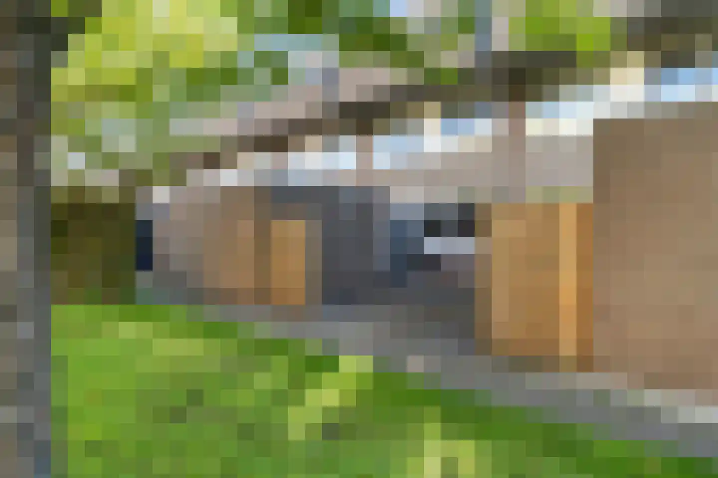 Het Tolland 120 Wateringen thumbnail 5