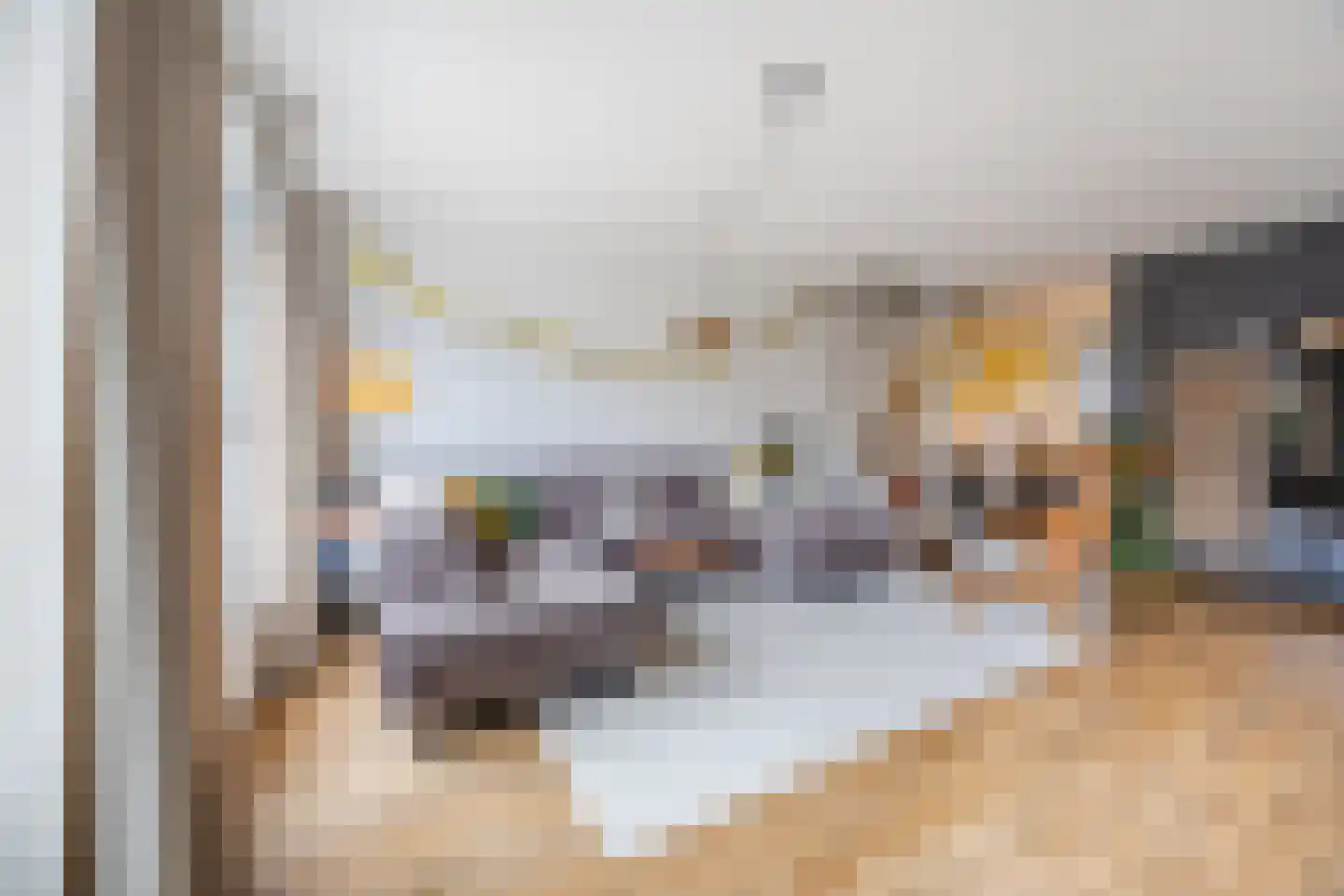 Het Tolland 124 in Wateringen