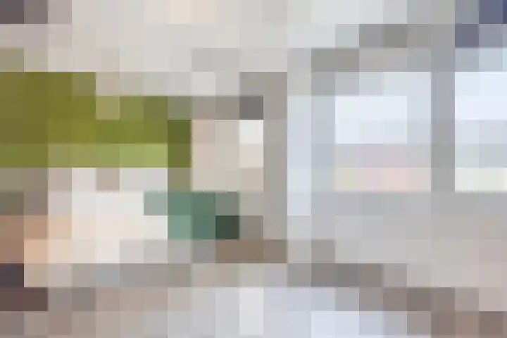 Het Tolland 124 Wateringen thumbnail 21
