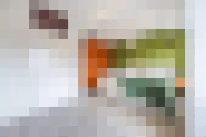 Het Tolland 124 Wateringen thumbnail 22