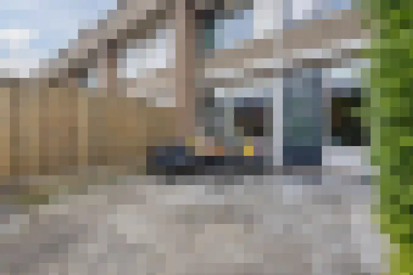 Het Tolland 124 Wateringen thumbnail 35