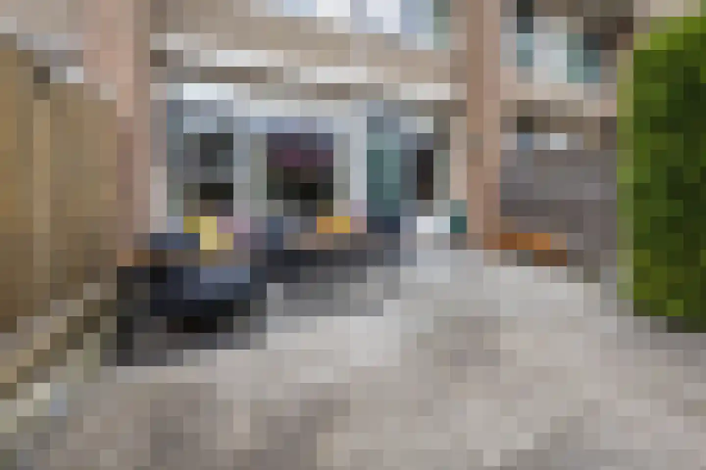Het Tolland 124 Wateringen thumbnail 36