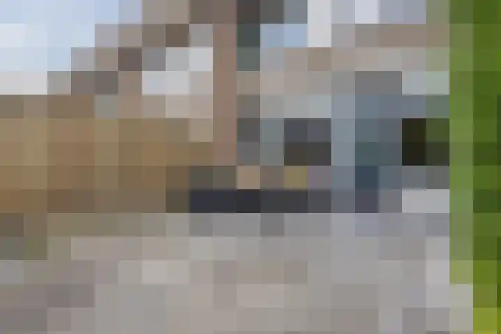 Het Tolland 124 Wateringen thumbnail 38
