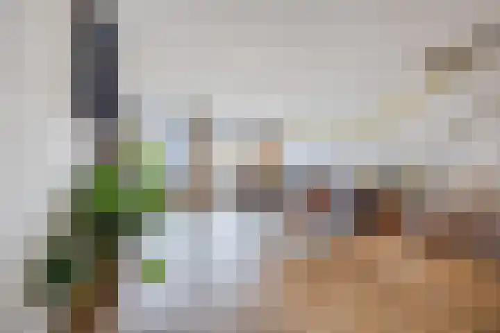 Het Tolland 124 Wateringen thumbnail 4