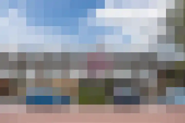 Het Tolland 124 Wateringen thumbnail 41