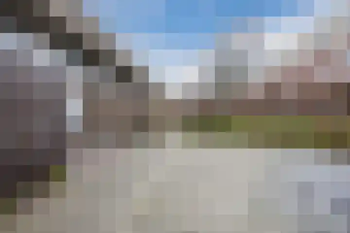 Het Tolland 124 Wateringen thumbnail 42