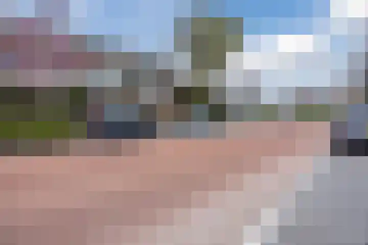 Het Tolland 124 Wateringen thumbnail 43
