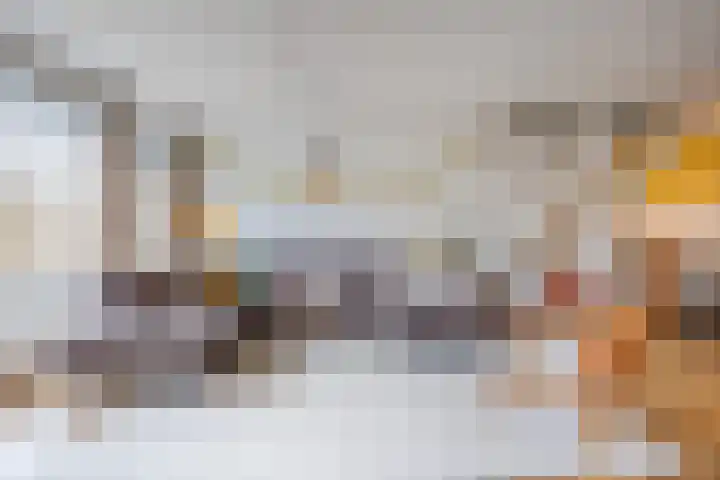 Het Tolland 124 Wateringen thumbnail 6