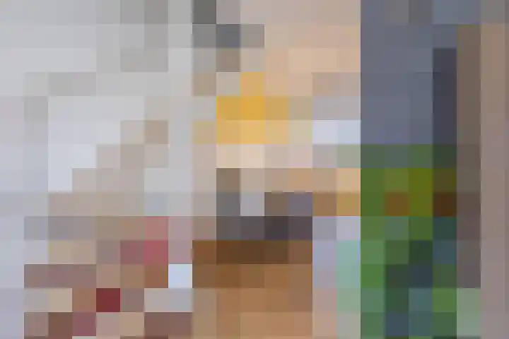 Het Tolland 124 Wateringen thumbnail 8