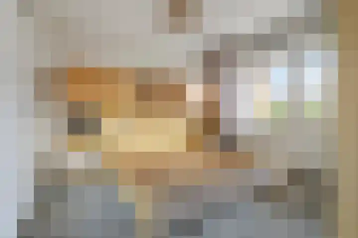 Het Tolland 148 Wateringen thumbnail 15