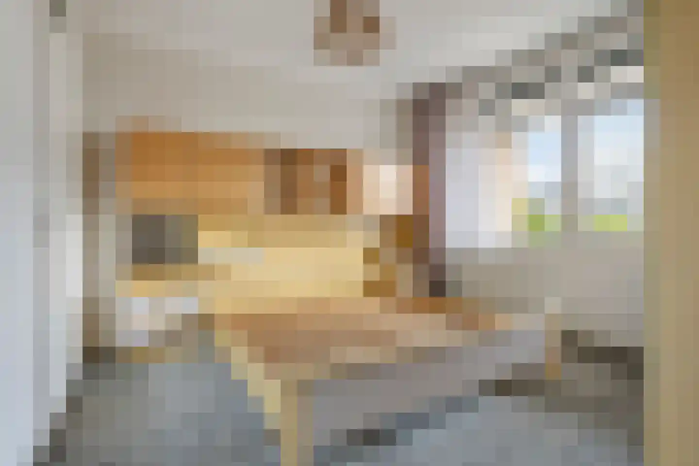 Het Tolland 148 Wateringen thumbnail 15