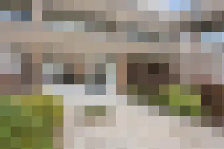 Het Tolland 148 Wateringen thumbnail 20
