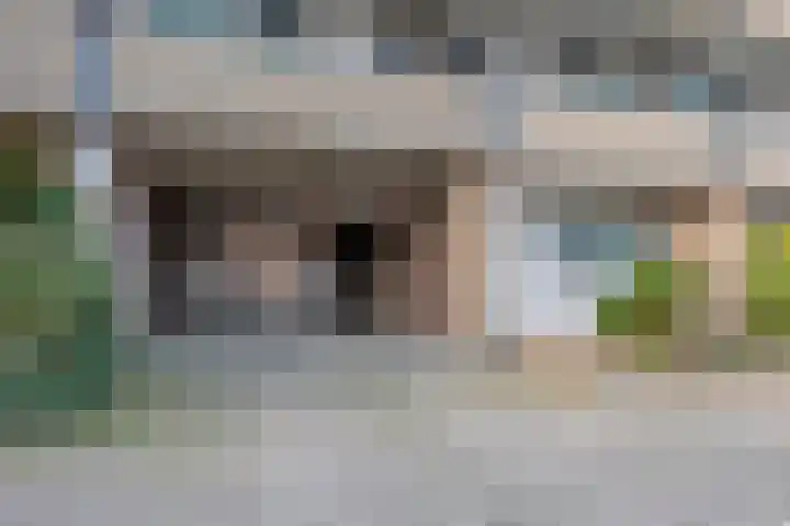 Het Tolland 148 Wateringen thumbnail 22