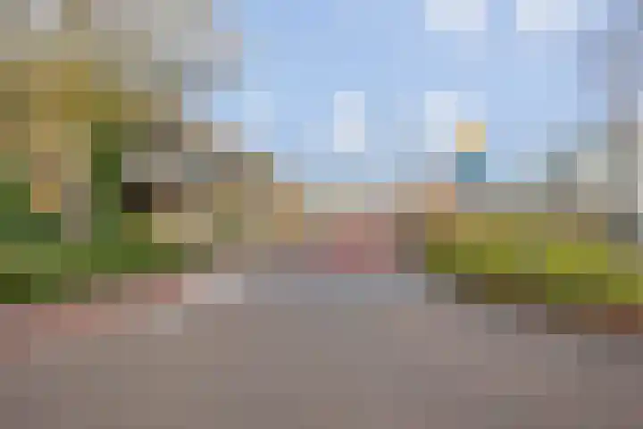 Het Tolland 148 Wateringen thumbnail 27