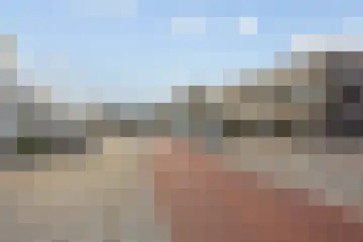 Het Tolland 148 Wateringen thumbnail 29